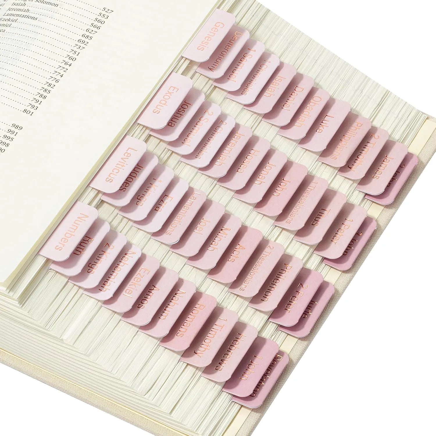 Laminated Bible Tabs (75 pcs) with Multiple Color Themes