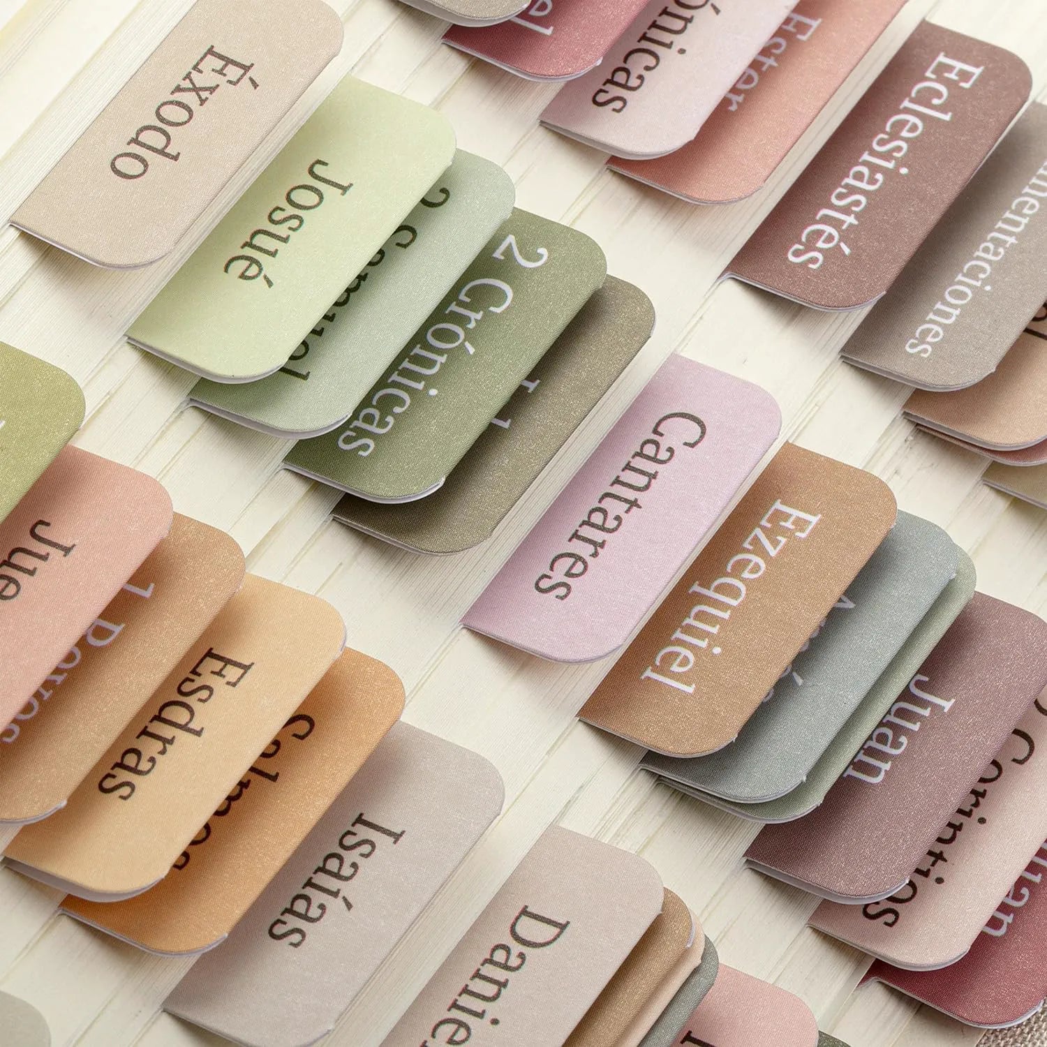 Laminated Bible Tabs (75 pcs) with Multiple Color Themes