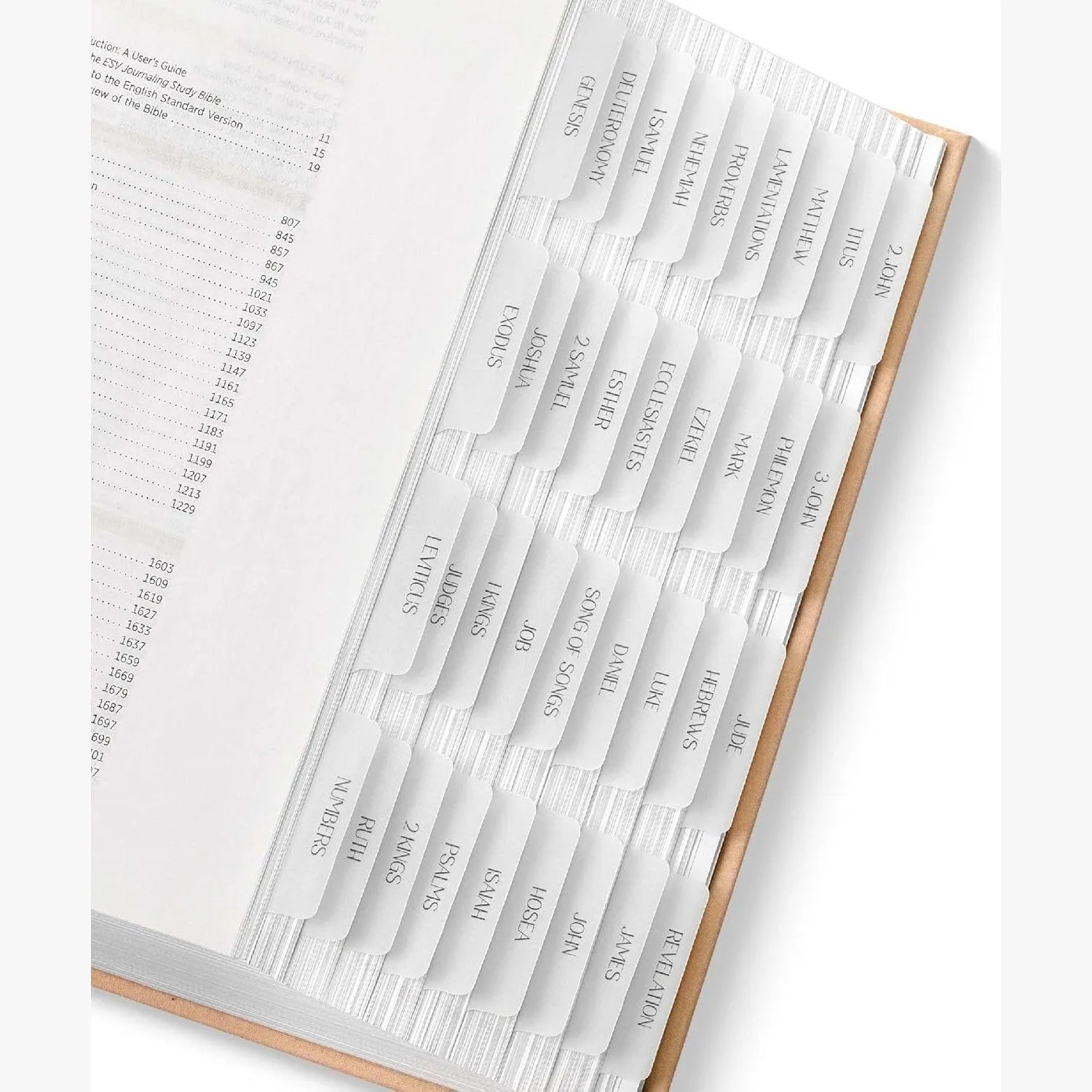 Laminated Bible Tabs (75 pcs) with Multiple Color Themes