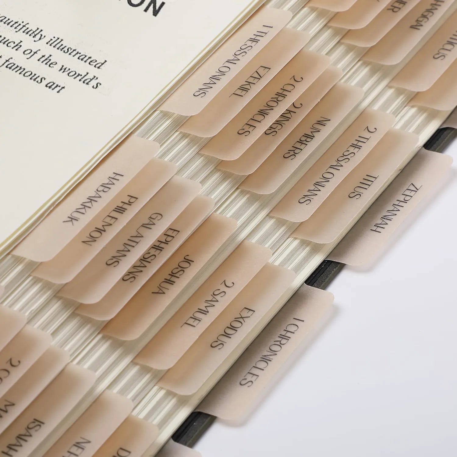 Mr. Pen Bible Tabs - 75 Transparent Cappuccino Laminated Tabs for Women and Men, Study Bible Index Tabs and Labels