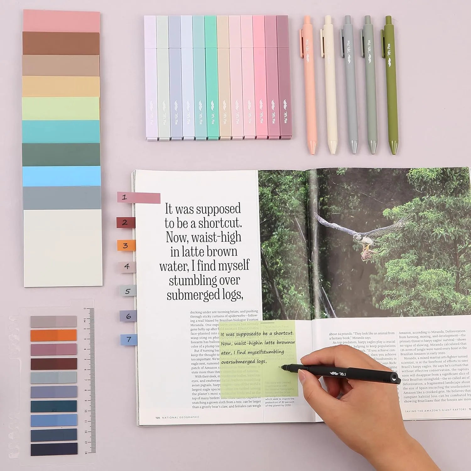 Mr. Pen Aesthetic Book Annotation Kit, 38 Pieces with Highlighters and Gel Pens