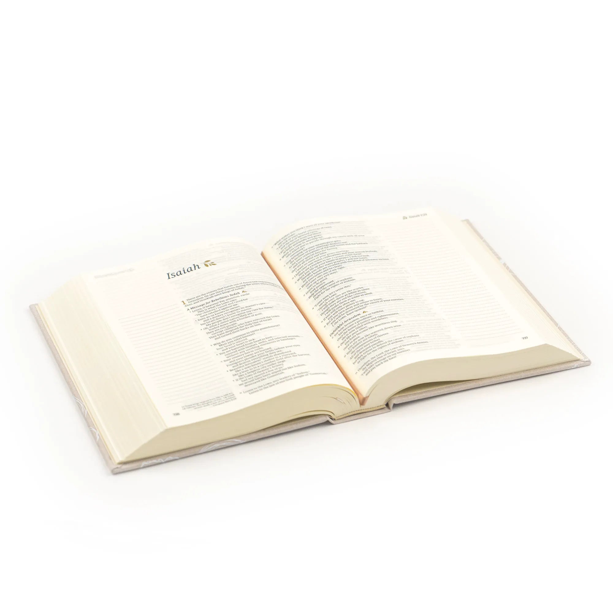NLT Hosanna Revival Notetaking Bible (Cordova Theme)