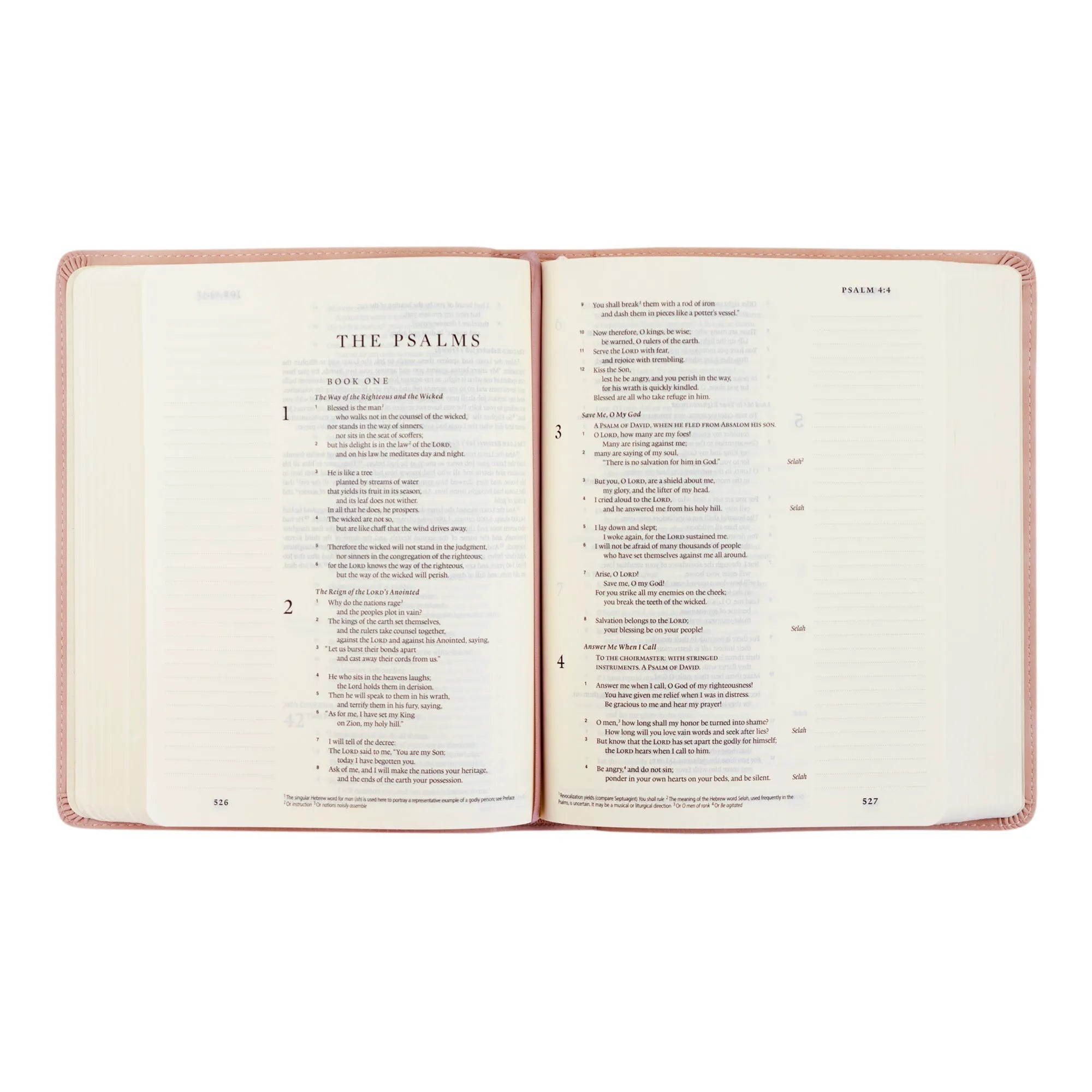 ESV Hosanna Revival Journaling Bible: Shiloh Edition