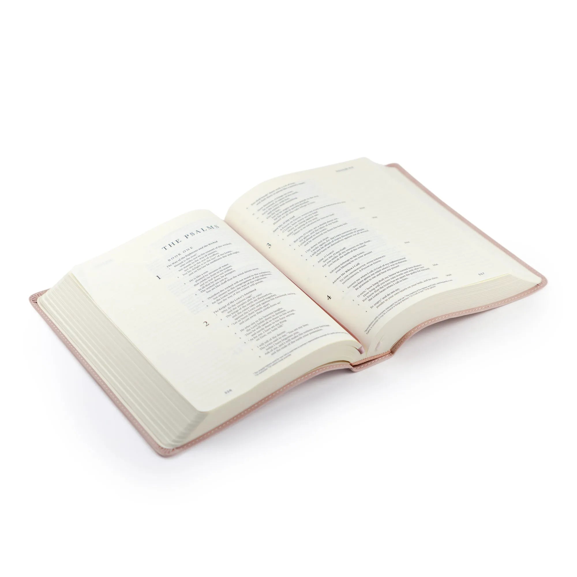 ESV Hosanna Revival Journaling Bible: Shiloh Edition
