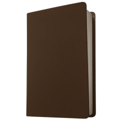 NLT Premium Value Thinline Bible, Brown, Filament Enabled